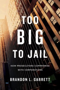 livro toobig to jail