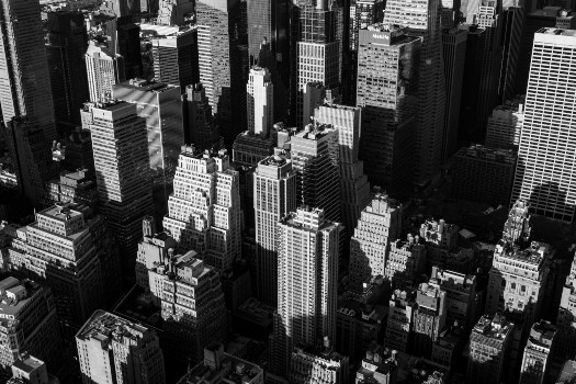tom-adams-JDHQM-y4nxg-unsplash (1)