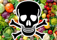 blog txt1 agrotoxico